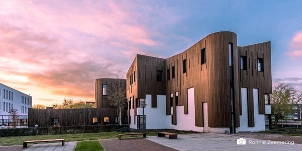 Bamboo timber cladding in detail: the 5 main benefits